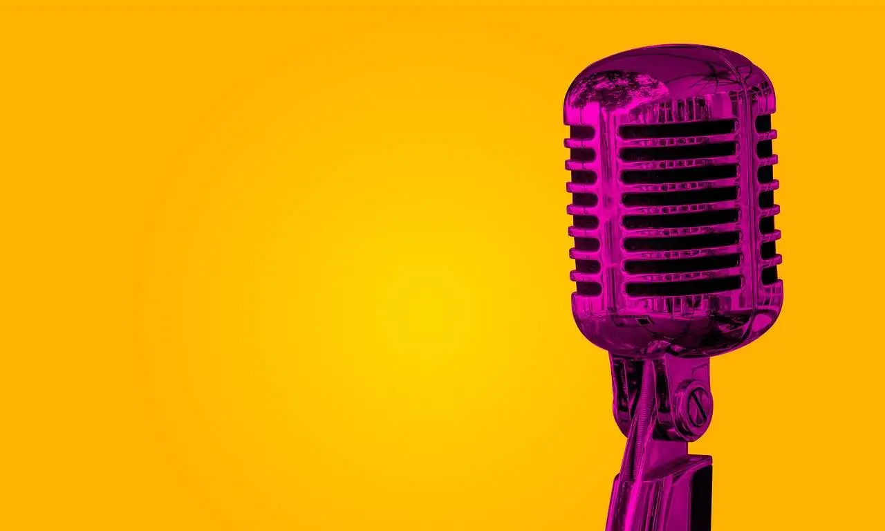 Unlocking the Power of Reddy Anna ID: A Comprehensive Guide for Modern Professionals